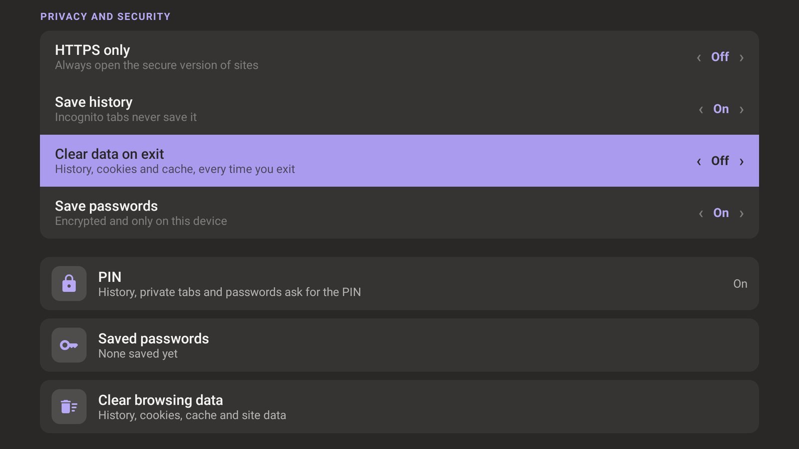 Privacy and security settings with clear data on exit, saved passwords and PIN